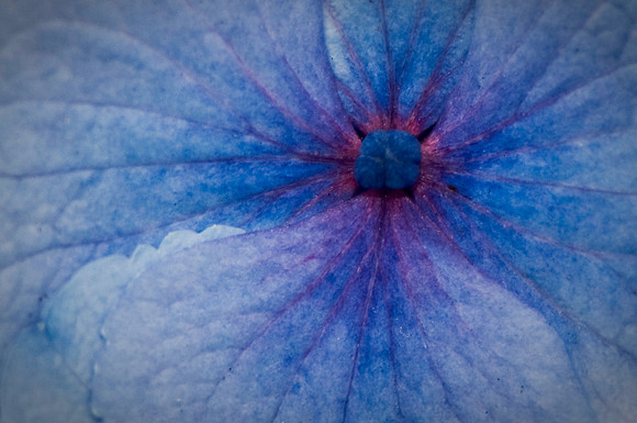 Feeling Blue