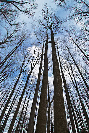 Leesylvania State Park, VA