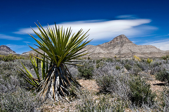 Red Rock Canyon
