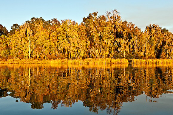 Lake Wauburg Golden Sunset