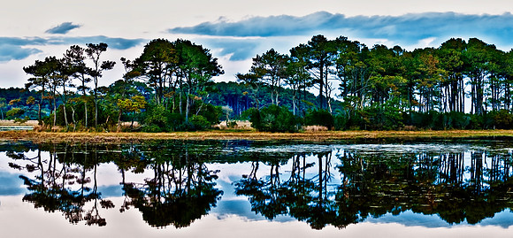 Reflections on the Refuge