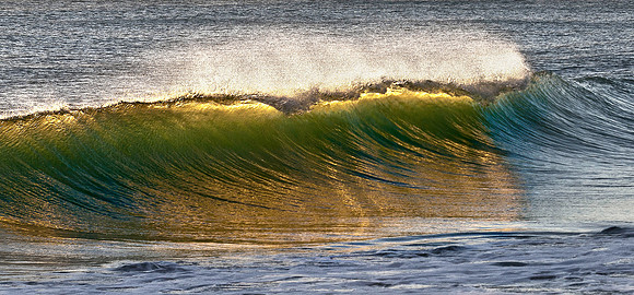 Not Just Another Ft Lauderdale Wave