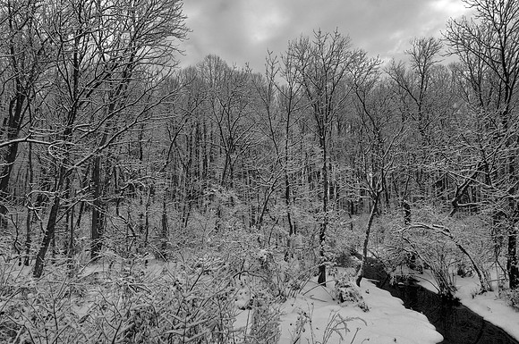 Bushey Point Creek, Leesylvania State Park, VA