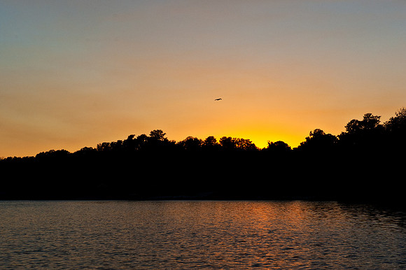 Lake Wauburg Golden Sunset 3