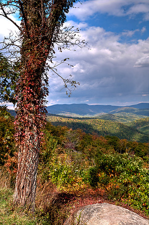 Early Morning on Skyline Drive
