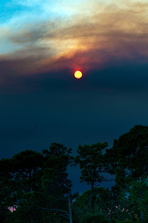 Sunsetting Sun on a Florida Forest Fire